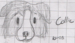 Collie_headshot_sketch.png